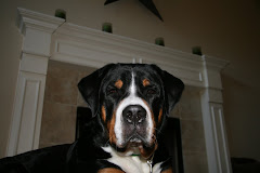 Duke