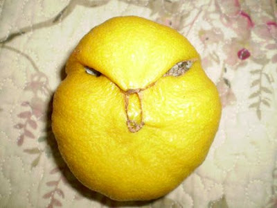 Weirdest Lemon Ever Found on Earth