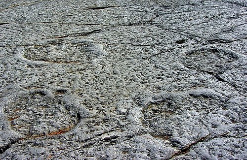 some footprints
