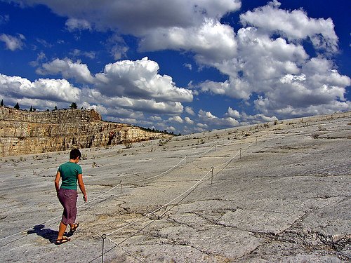 path for visitors