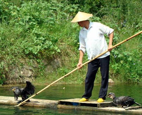 Inilah Cara Keren dan Kreatif Memancing Ikan di Sungai ...