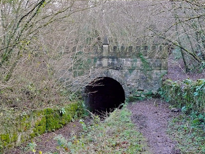 Walking in the country: Sapperton and Daneway