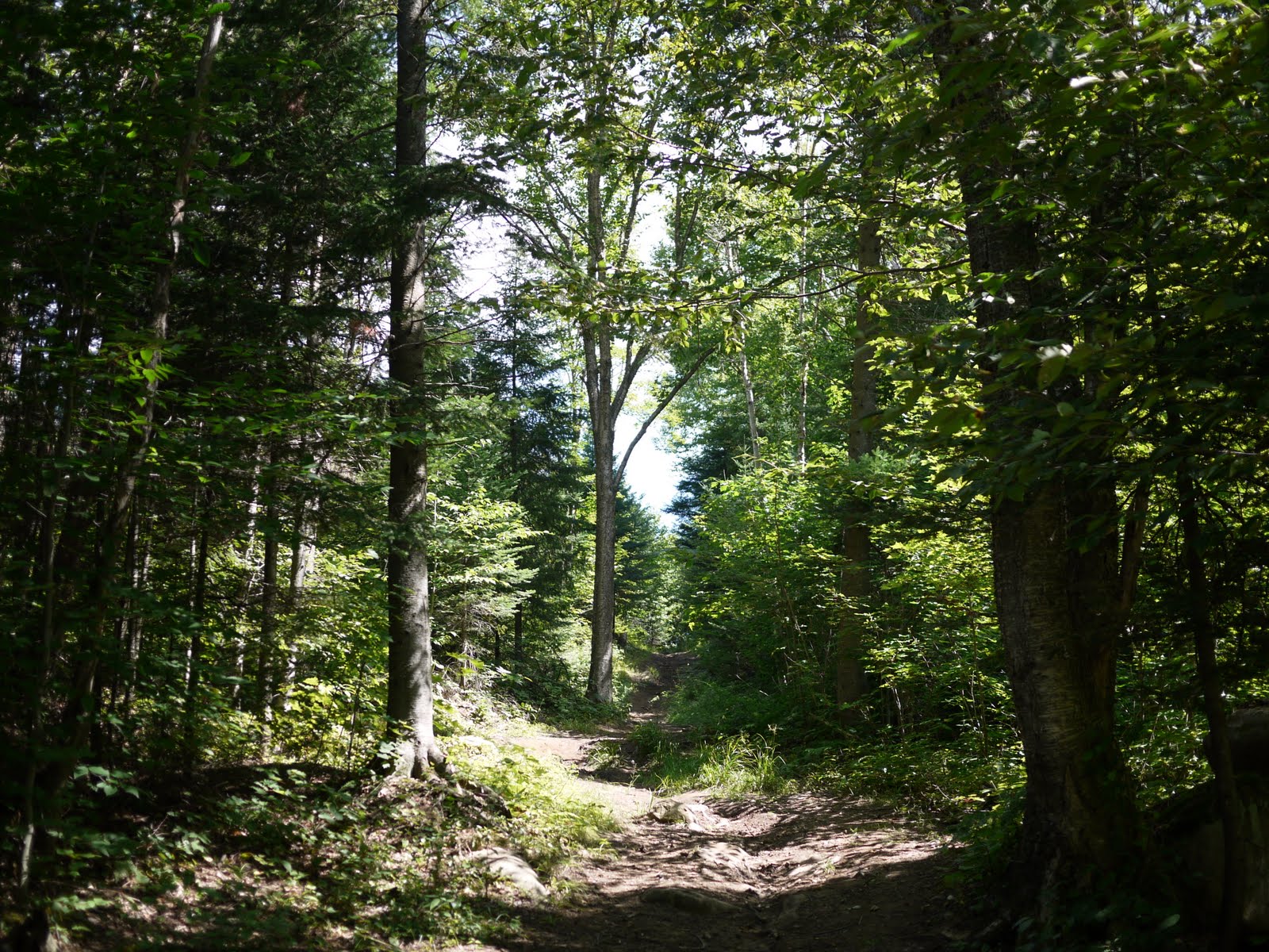 Walking in the country SaintAdolphed'Howard