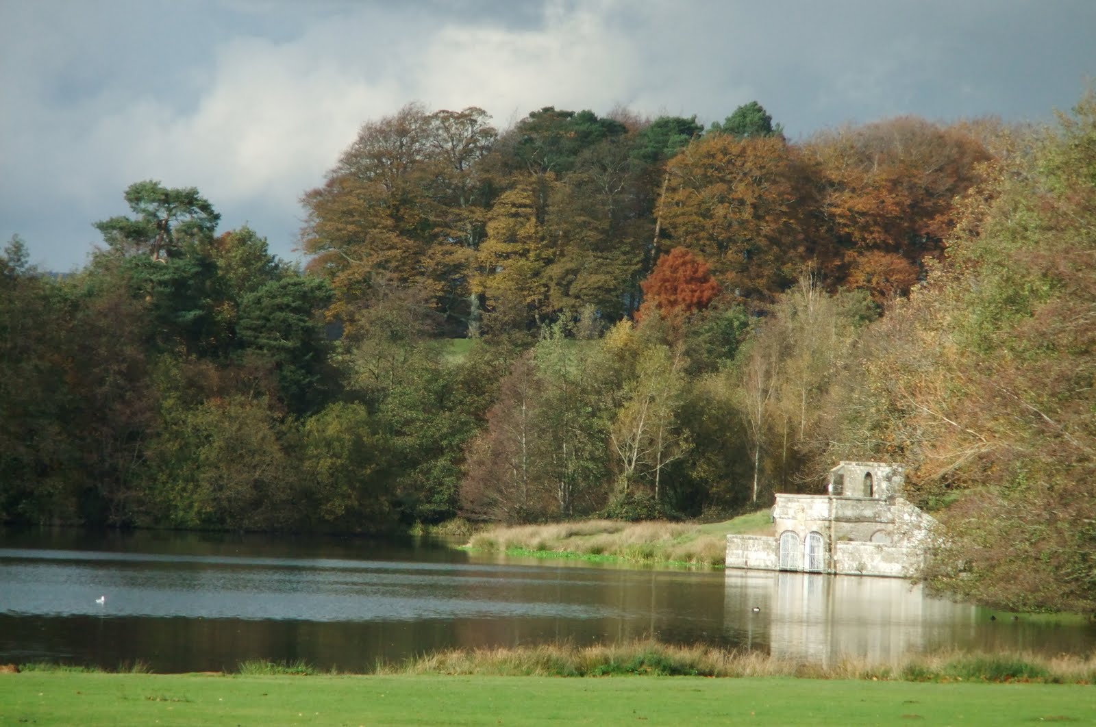 Walking in the country Petworth Park