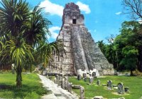Tikal templua