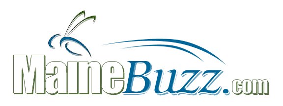 Maine Buzz