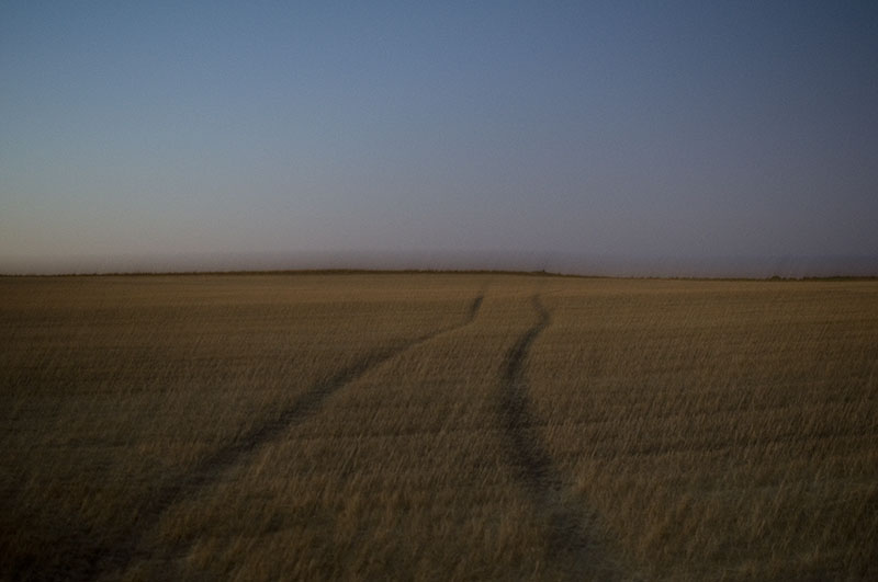 [Huellas+en+el+rastrojo.jpg]