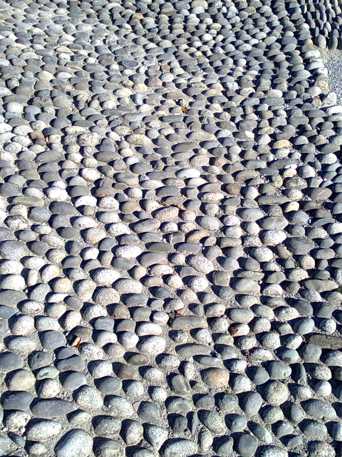 Tata Au Congo Encore Du Soleil Mais Pour Combien De Temps