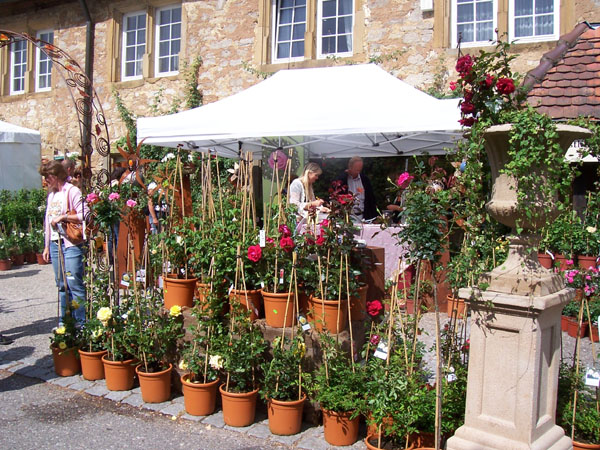 [Langenburg07+003.jpg]