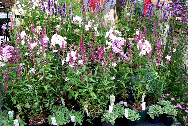 [Langenburg07+010.jpg]