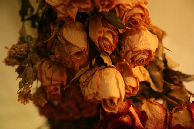 [amaranth7]