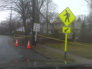 >Major Storm Damage In Ridgewood IMG00027