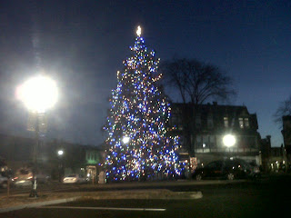 IMG00205 20101208 1700