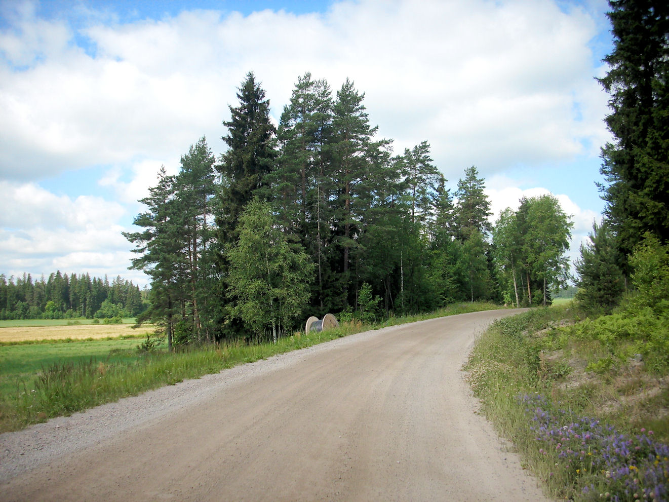 sypressi kytkennät