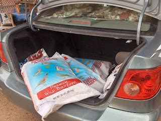 Bird seed bags in trunk Yarnell Arizona