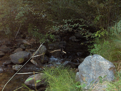 Carson at Cave Creek Oregon Aug 2007