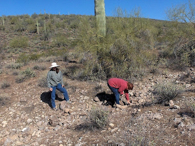 Berta gathering rocks saguaro cactus Lake Pleasant Peoria Arizona