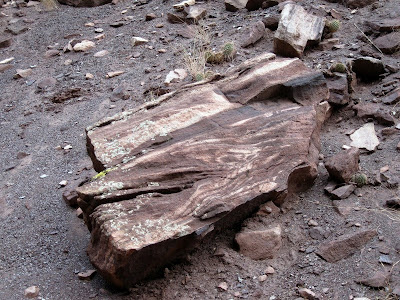 Tapeats sandstone North Kaibab trail Grand Canyon National Park Arizona