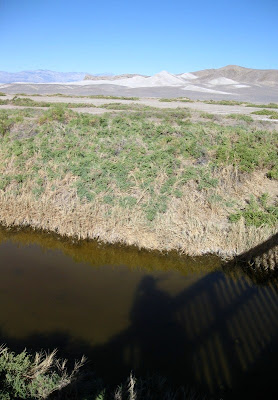 Salt Creek Death Valley National Park California