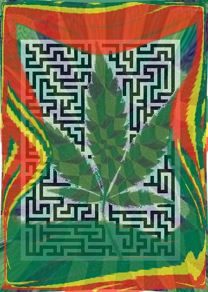 [laberinto_cannabis.jpg]
