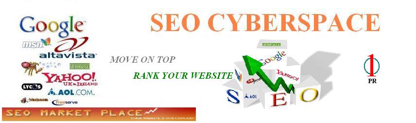 SEO CYBERSPACE