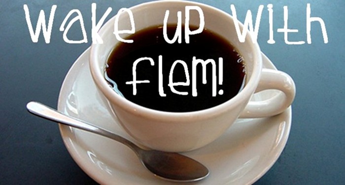 Wake Up With Flem!