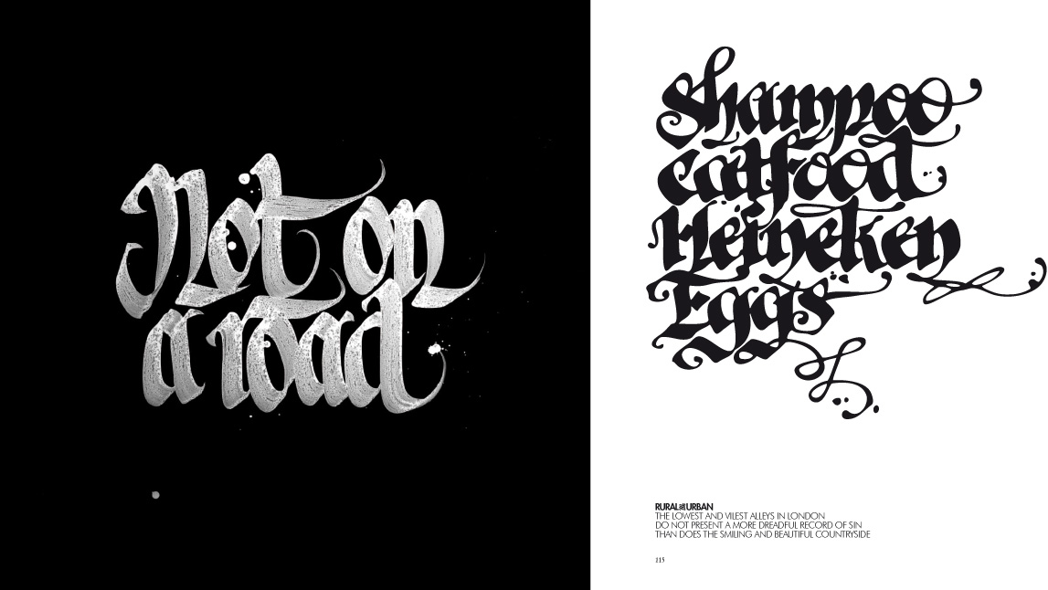 Calligraffiti The Graphic Art Of Niels SHOE Meulman Calligraffiti The Graphic Art Of Niels SHOE Meulman