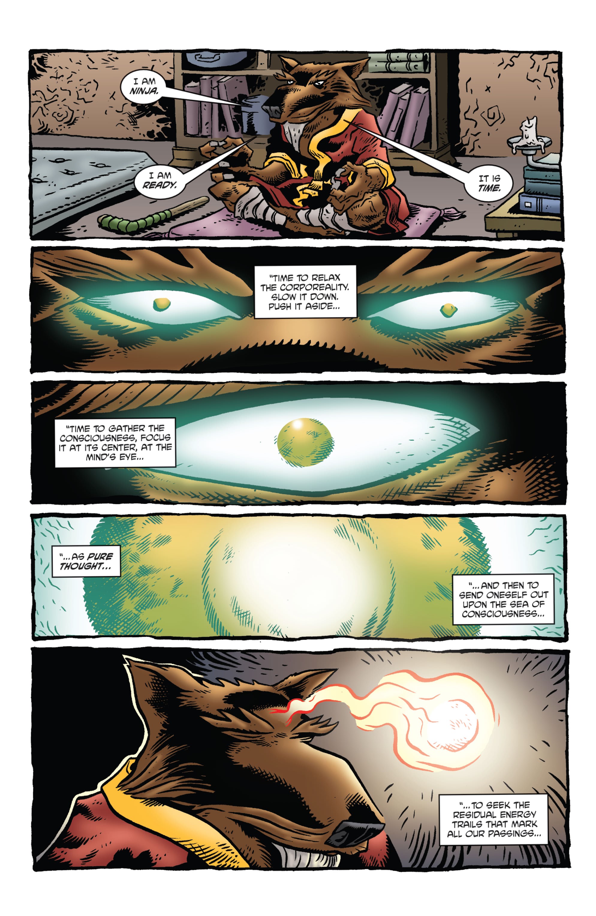 Read online Teenage Mutant Ninja Turtles: Best Of comic -  Issue # Splinter - 36
