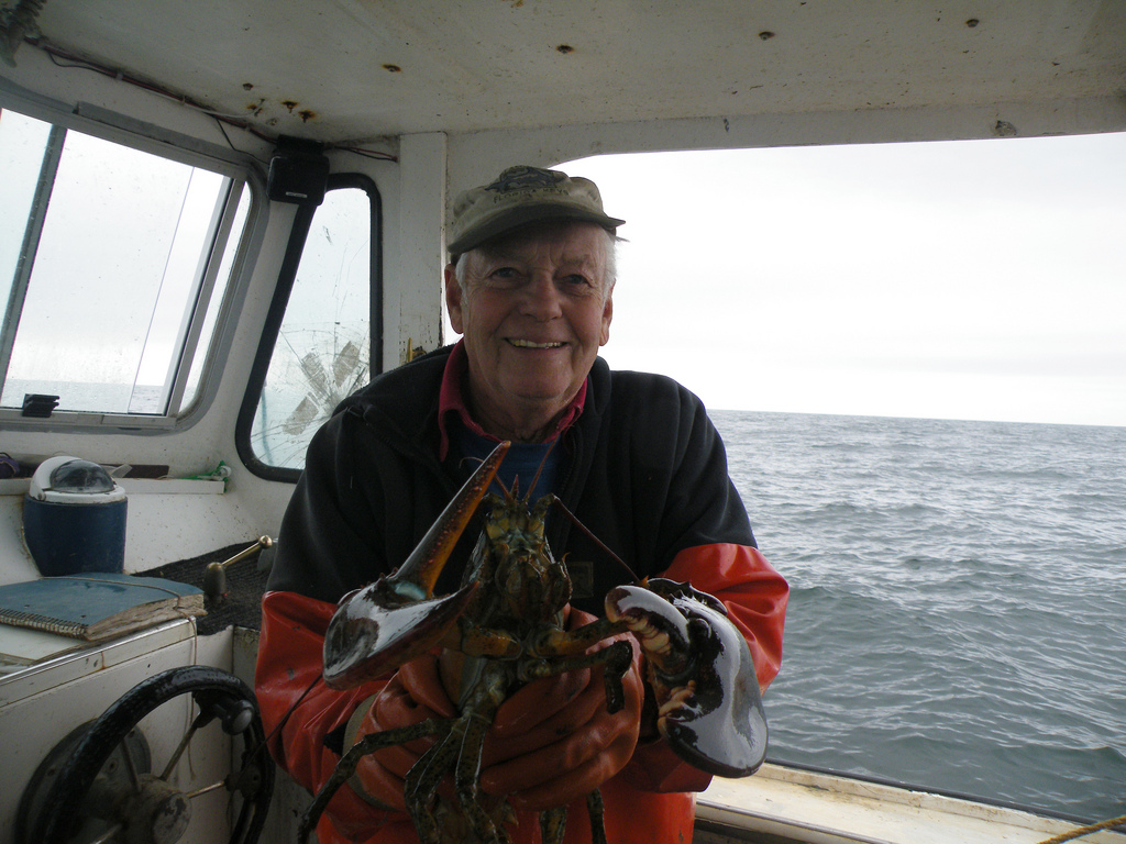 A GUIDE TO LOBSTERING IN MAINE visual data 7