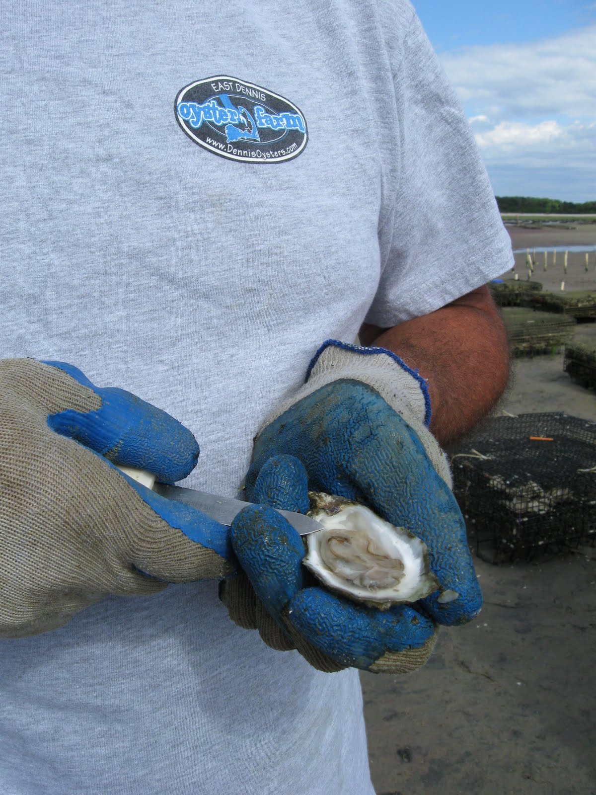 Gluten Free Maven Best Oysters in Town East Dennis Oyster Farm