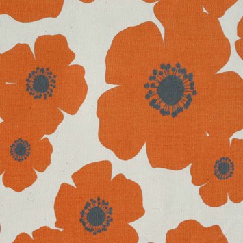 [phpThumb_generated_thumbnail2.jpeg]