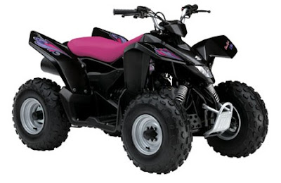 Suzuki QuadSport Z90 Special Edition 2009
