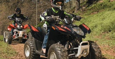 Arctic Cat DVX 90 Automatic ATV 2008
