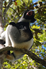 Sing a song of six-pence...