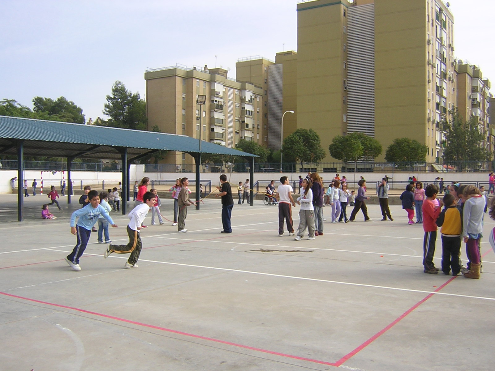 COLE ADRIANO: OBSERVACIONES DEL PATIO