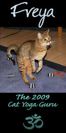 2009 Cat Yoga Guru!