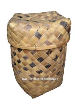 education syndicate: Anyaman