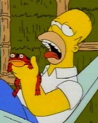 [Homer+lick+cain+toad.jpg]
