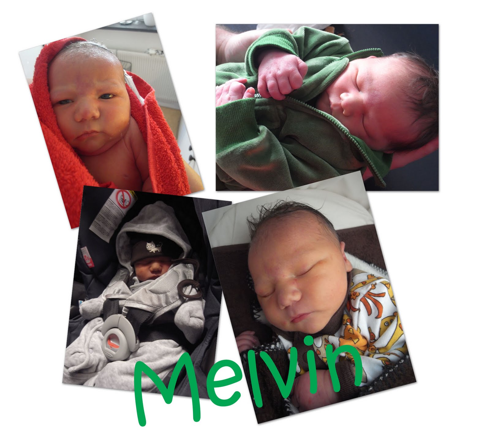 [melvin.jpg]