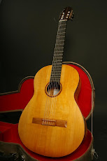 Un modelo de guitarra