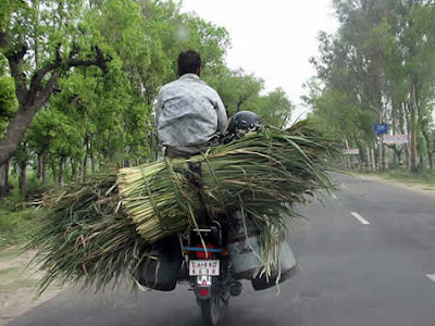 hanya+di+India+11.jpg