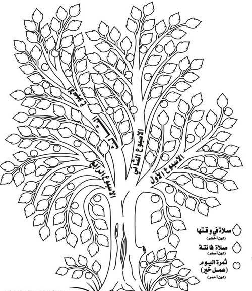 Prayer Progress Trees | Tasheel Tadrees