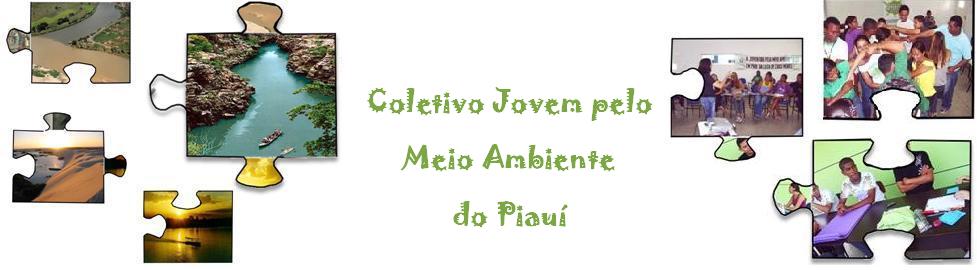 Coletivo Jovem pelo Meio Ambiente do Piauí