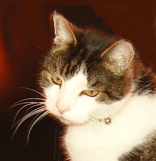 William McWoo (Wil for short)