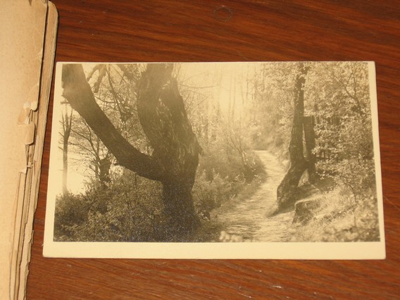 [pocztowka_awers.jpg]