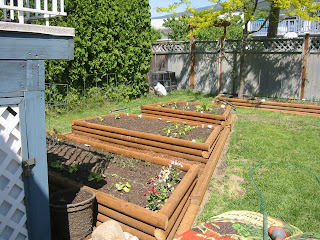 Shawna & Grant's updates: Backyard project - Garden