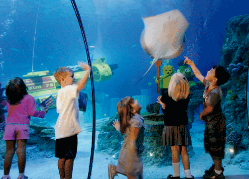 Alicia's Deals in AZ: Fall Break Freebies and Fun Things to Do!