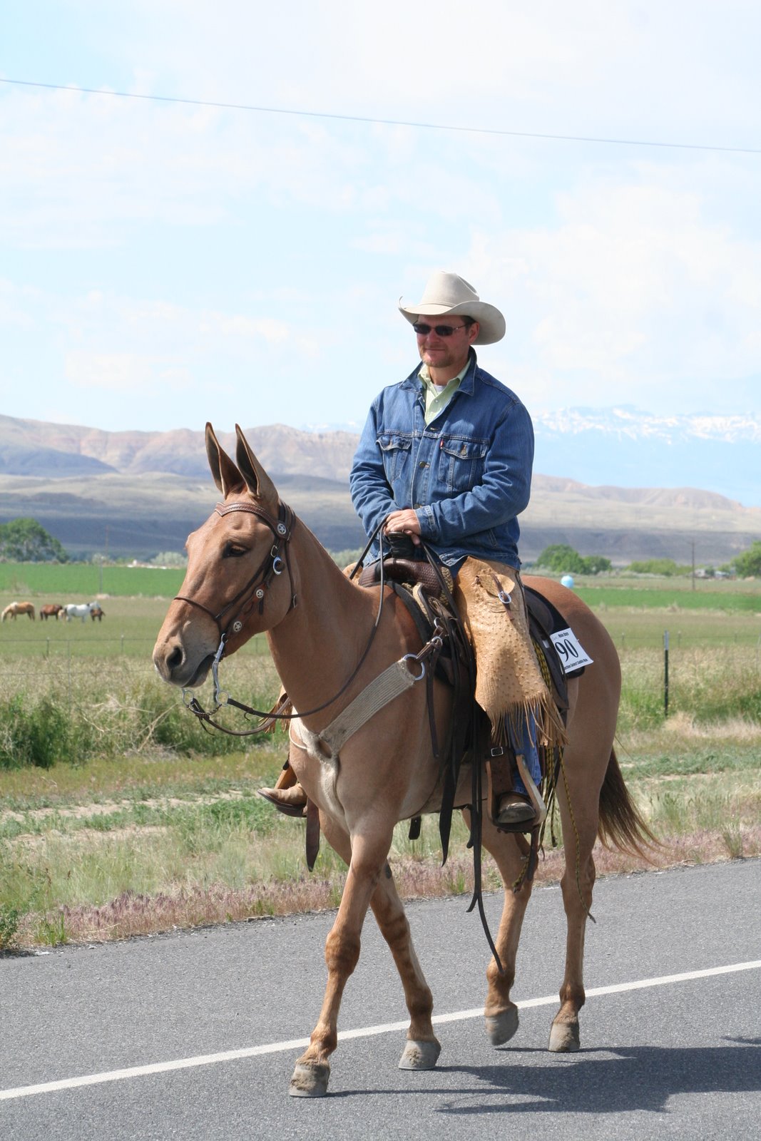 PairADice Mules: More Jake Clark Parade pictures