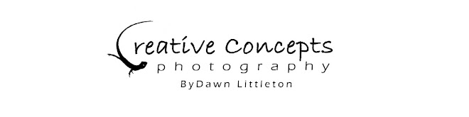 Creative Concepts Photography