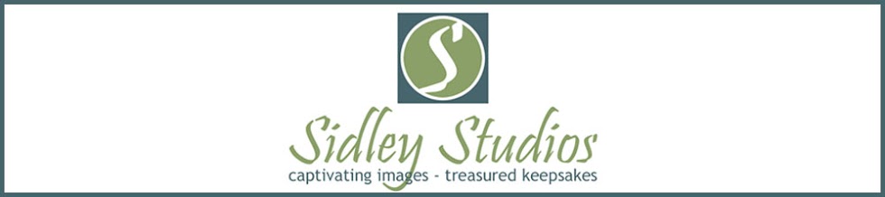 Sidley Studios - The Blog